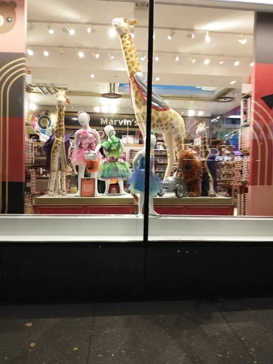 Photo of FAO Schwarz