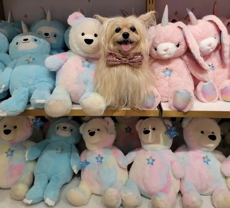 FAO Schwarz image 2