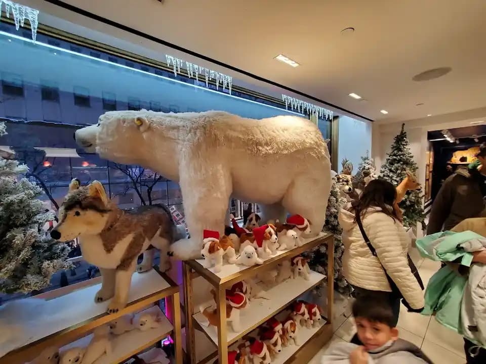 FAO Schwarz image 9
