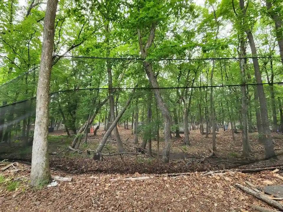 Cousins Paintball Staten Island image 5