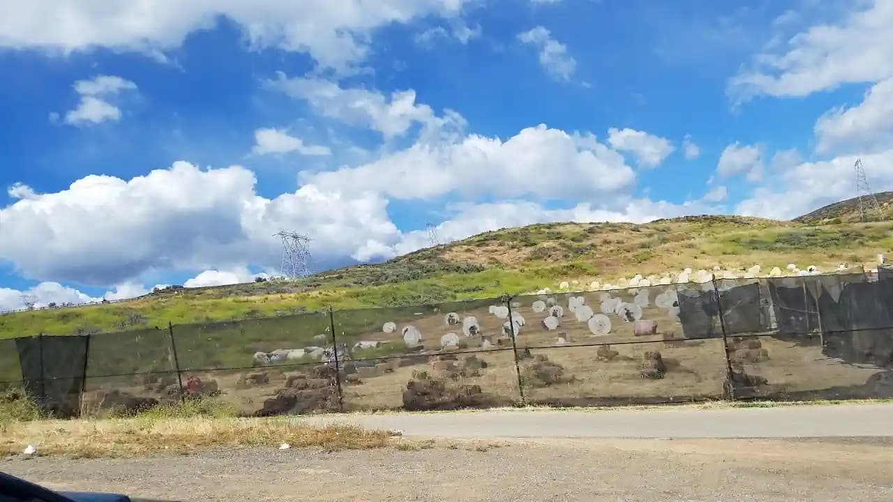 Warped Paintball Park image 9
