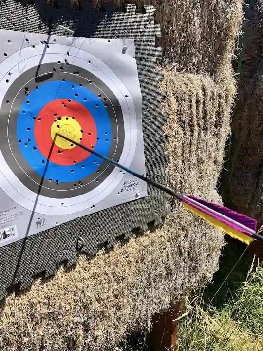 AREA Archery image 3