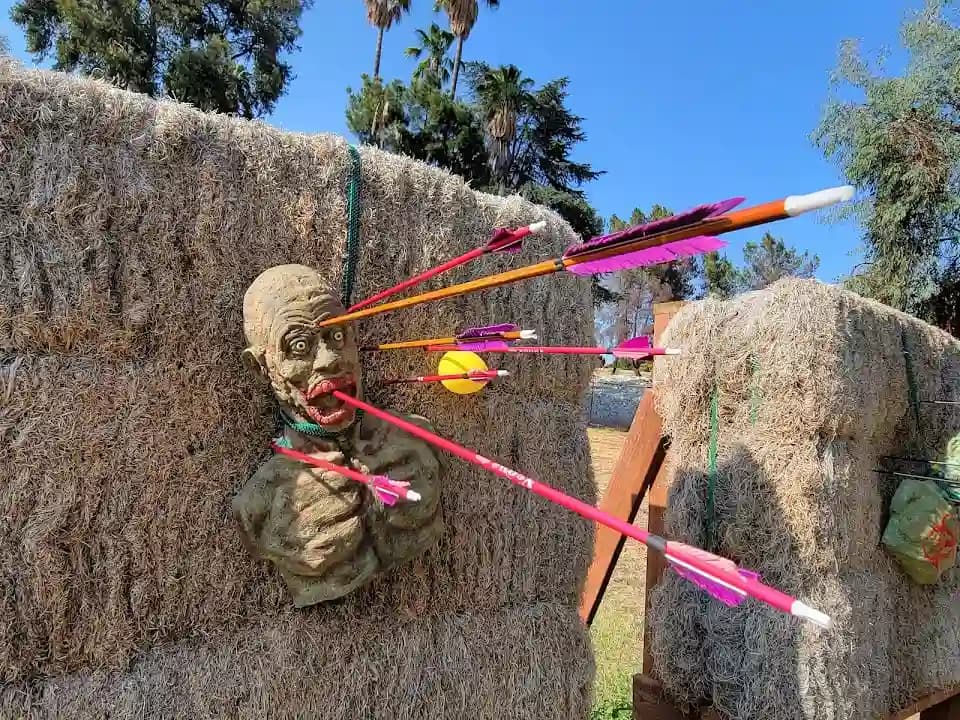 AREA Archery image 10
