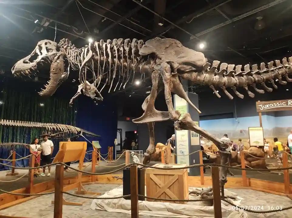 Orlando Science Center image 2