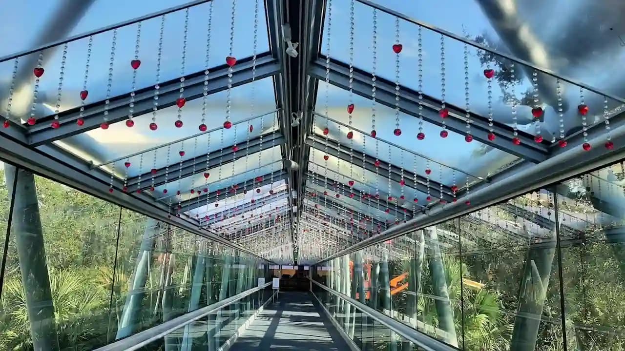Orlando Science Center image 5