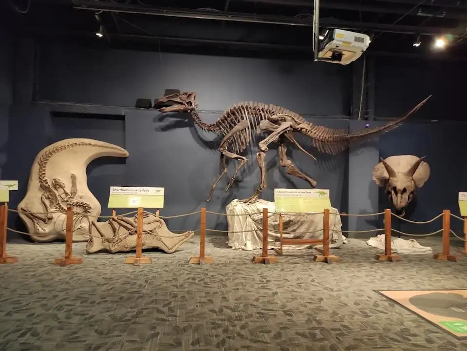 Orlando Science Center image 4