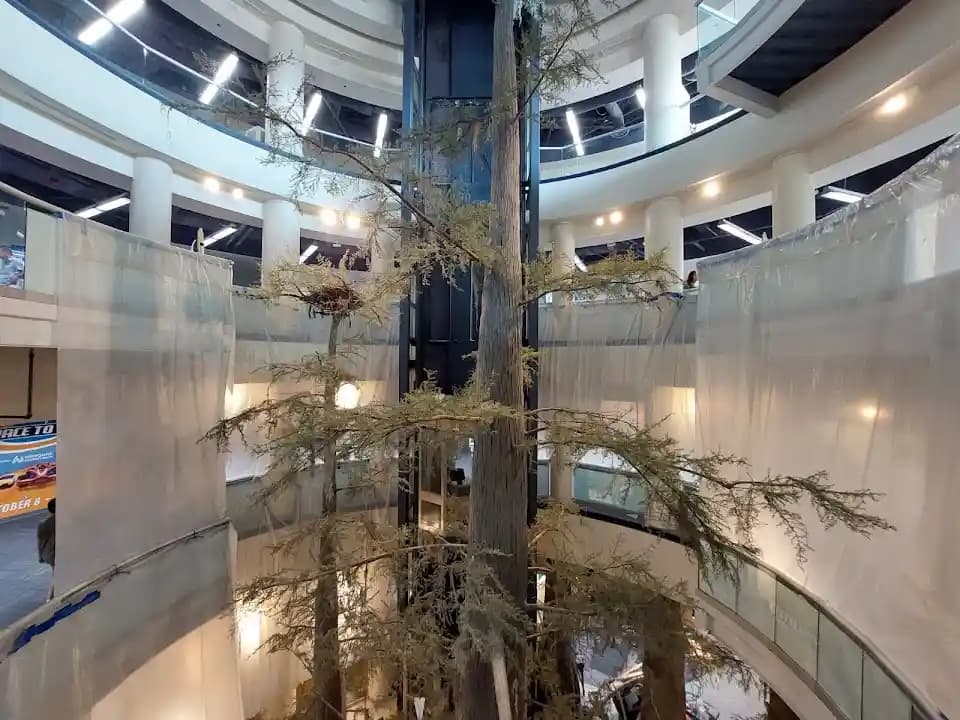 Orlando Science Center image 9