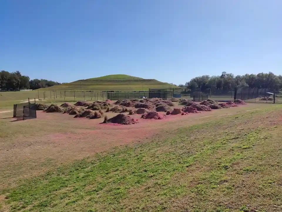 Tiki's Paintball Park image 2