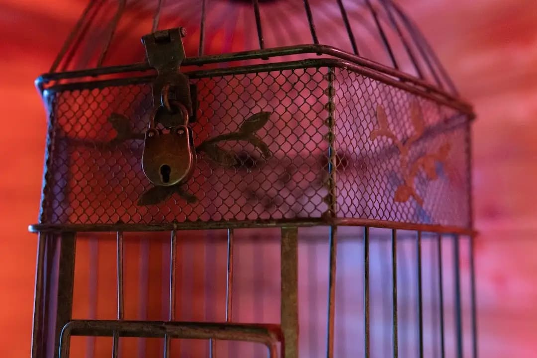 Z-escape, The Library of Enchantment image 4
