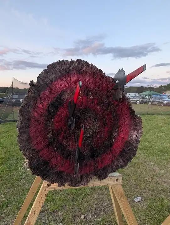 Axes to Ashes image 9