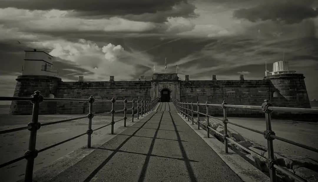 Escape The Fort image 4
