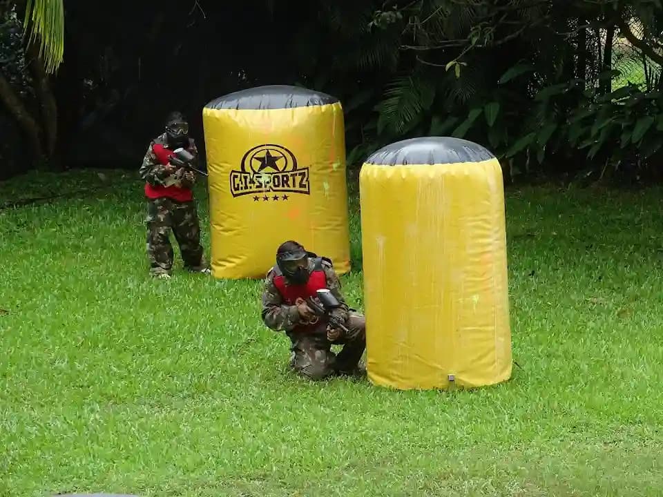 PaintBall X image 5
