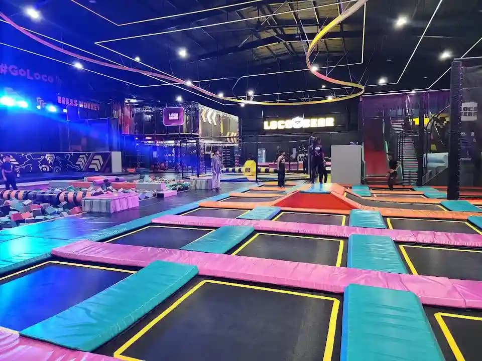 Loco Bear - The Ultimate Entertainment Hub image 4