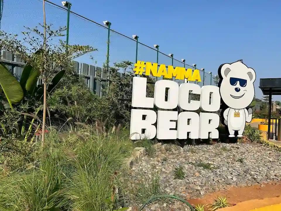 Loco Bear - The Ultimate Entertainment Hub image 5