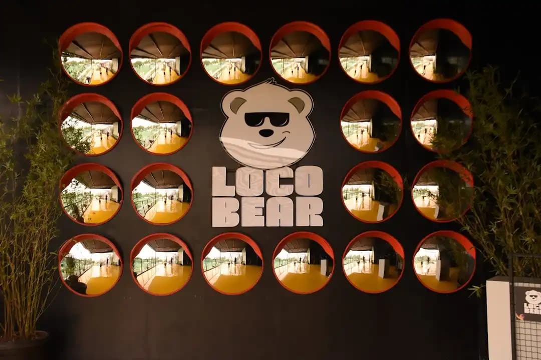 Loco Bear - The Ultimate Entertainment Hub image 2
