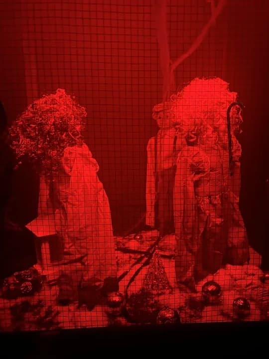 Strange World Escape Rooms image 7