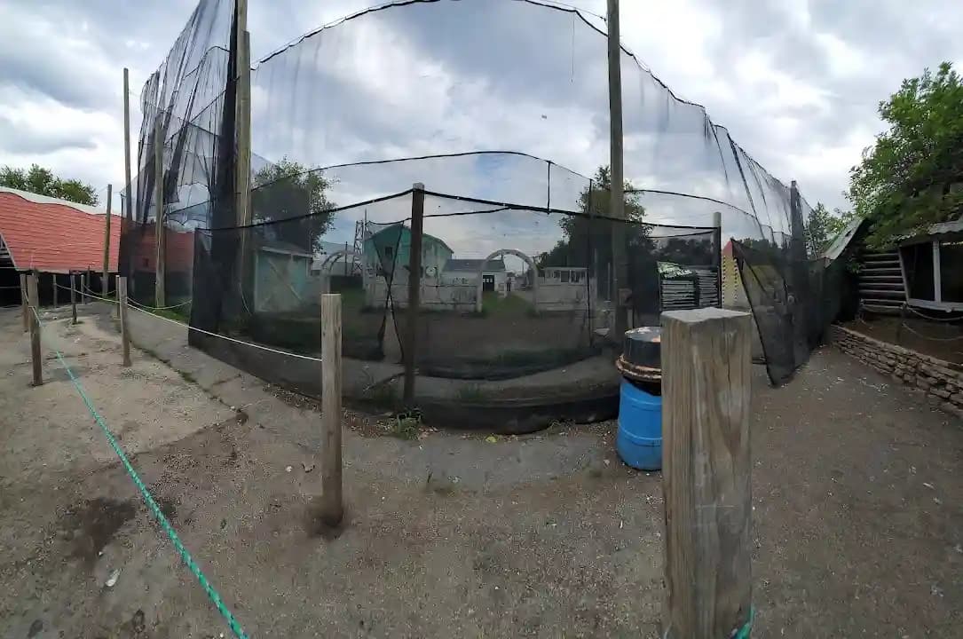 Paintball Explosion image 7
