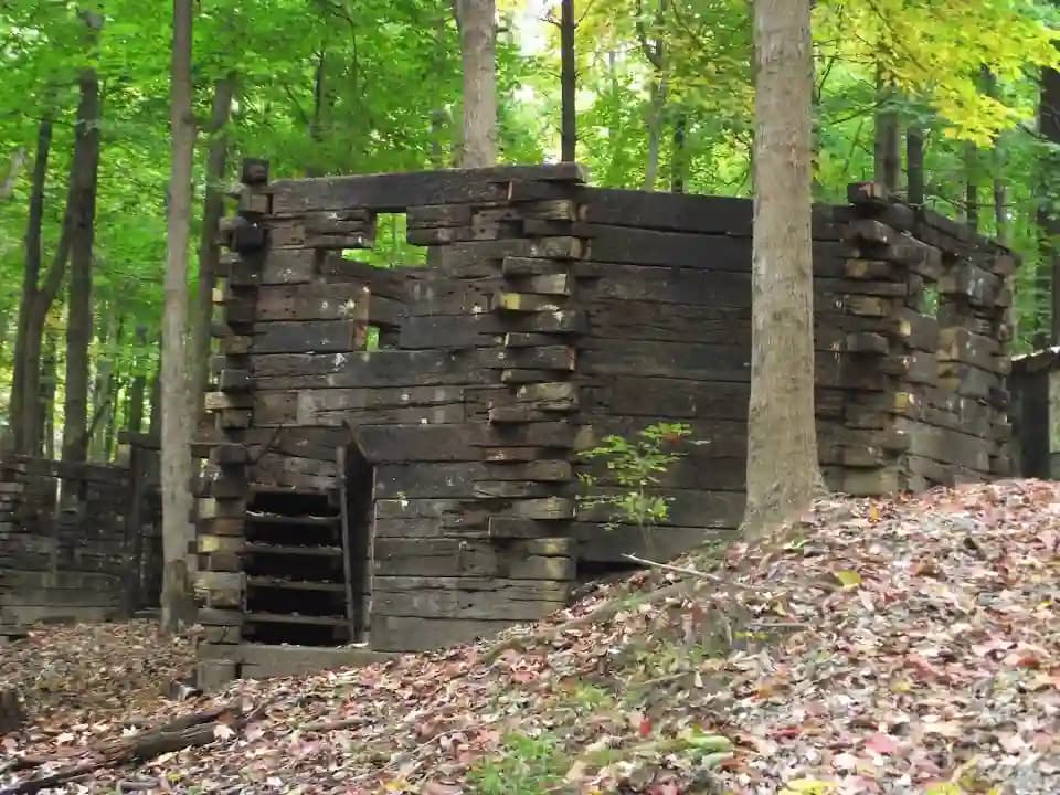 Sherwood Forest Paintball image 4