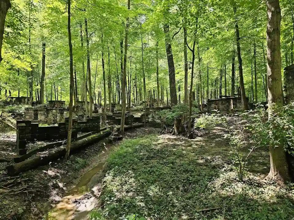 Sherwood Forest Paintball image 5