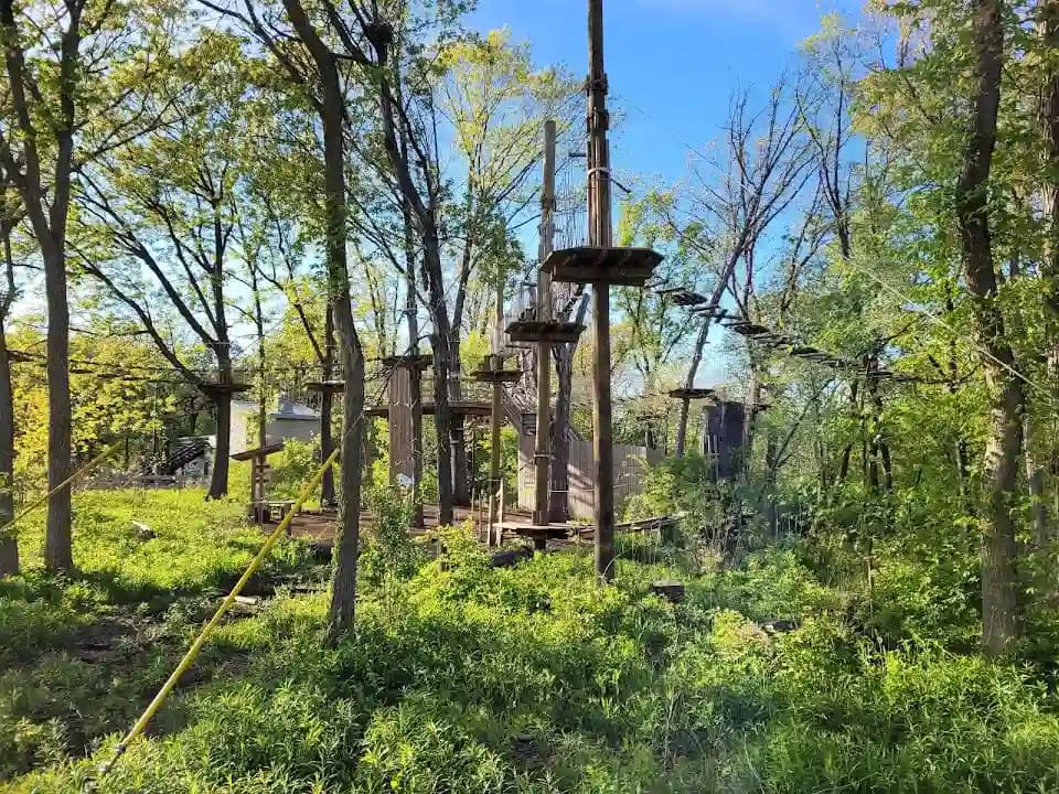 Go Ape Zipline and Adventure Park image 5