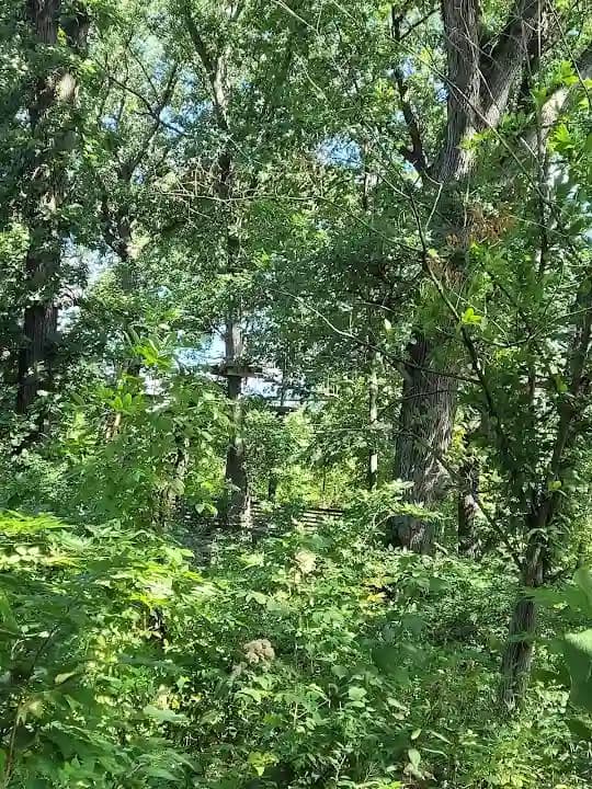 Go Ape Zipline and Adventure Park image 3
