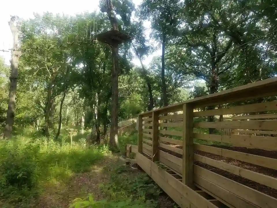 Go Ape Zipline and Adventure Park image 8