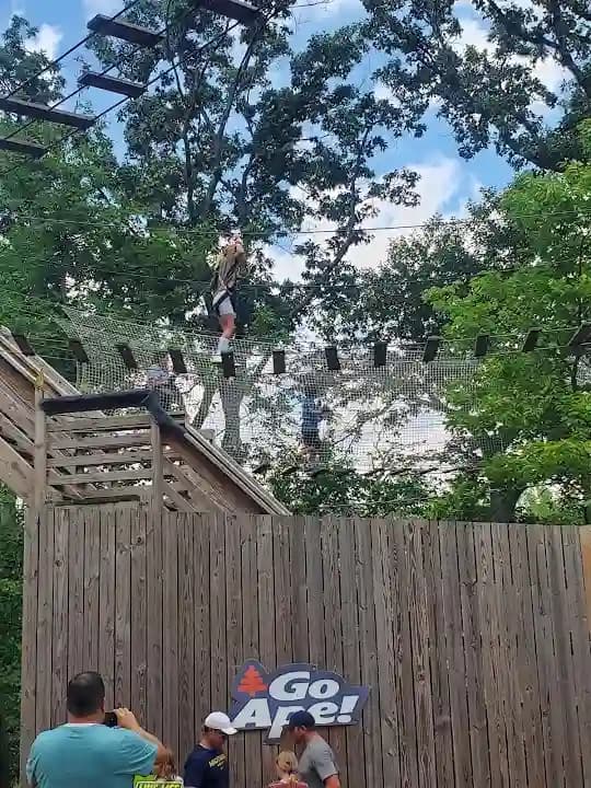 Go Ape Zipline and Adventure Park image 7
