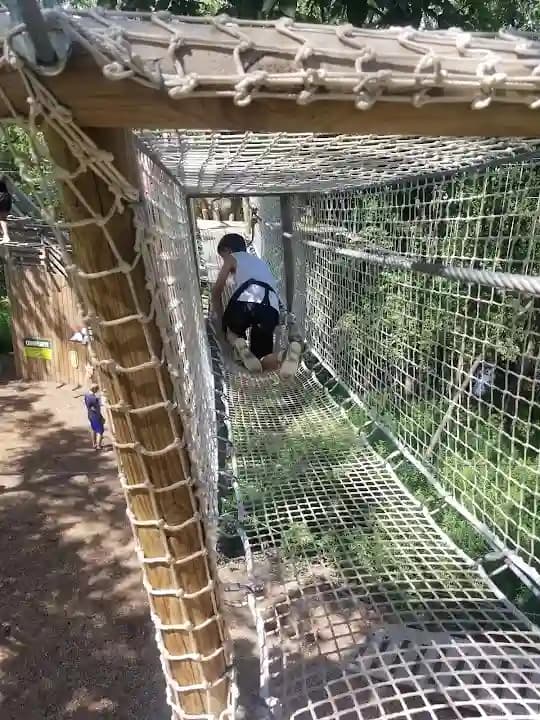 Go Ape Zipline and Adventure Park image 9