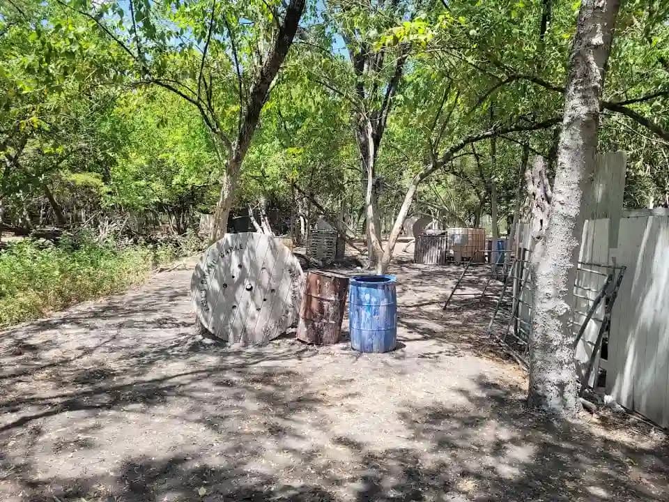 Madddogz Paintball image 5