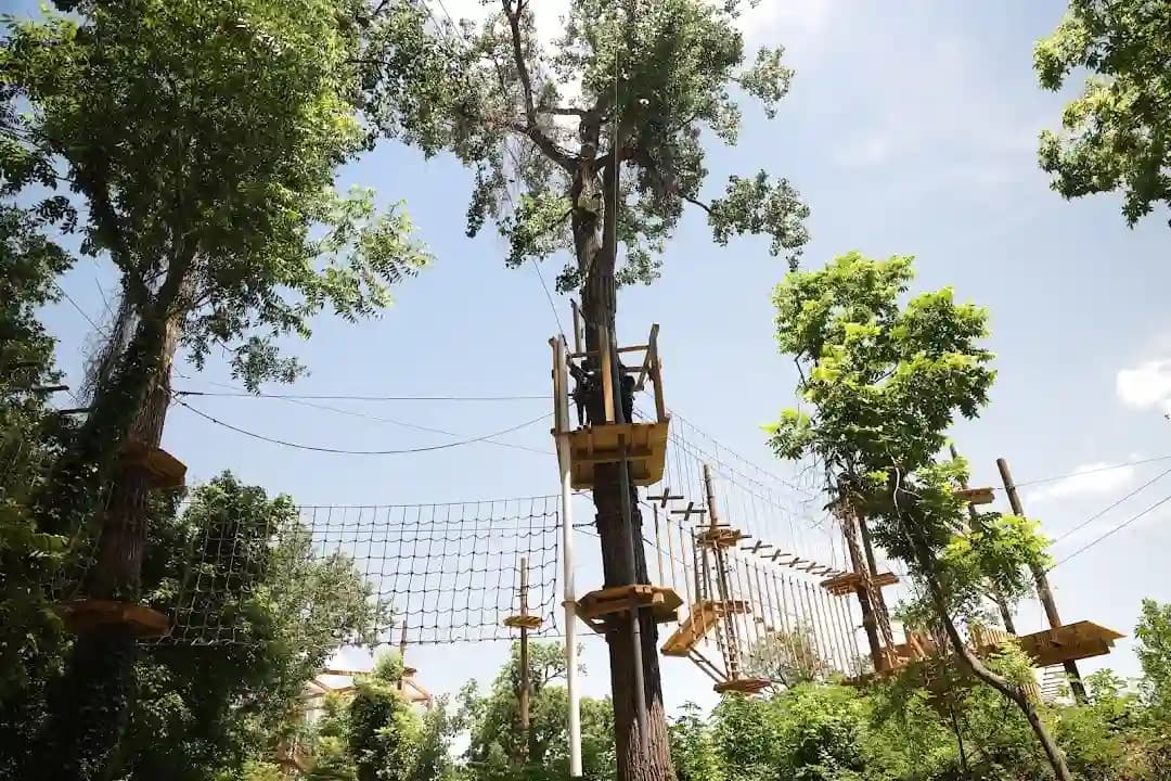 Go Ape Zipline and Adventure Park image 5