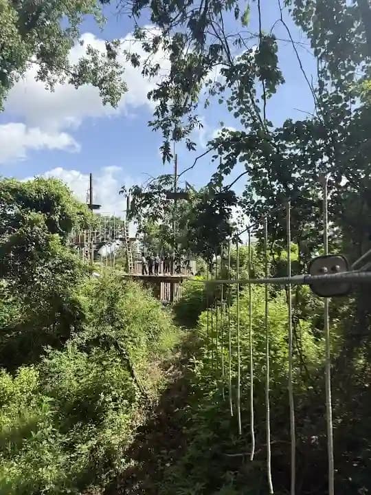 Go Ape Zipline and Adventure Park image 6