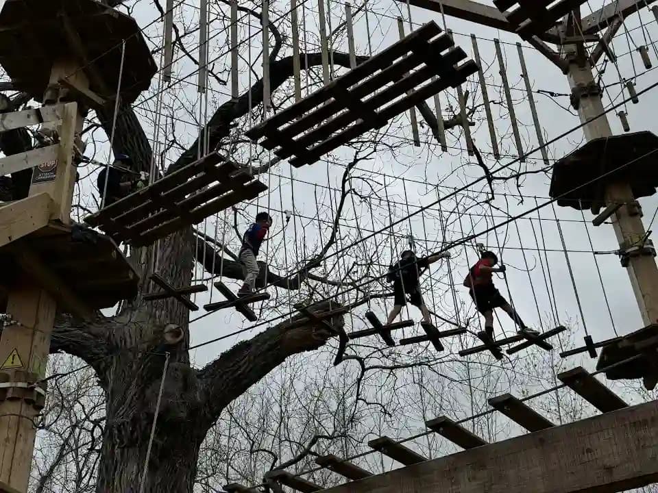 Go Ape Zipline and Adventure Park image 9