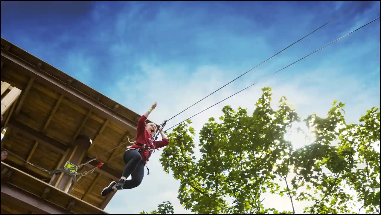 Go Ape Zipline and Adventure Park image 10