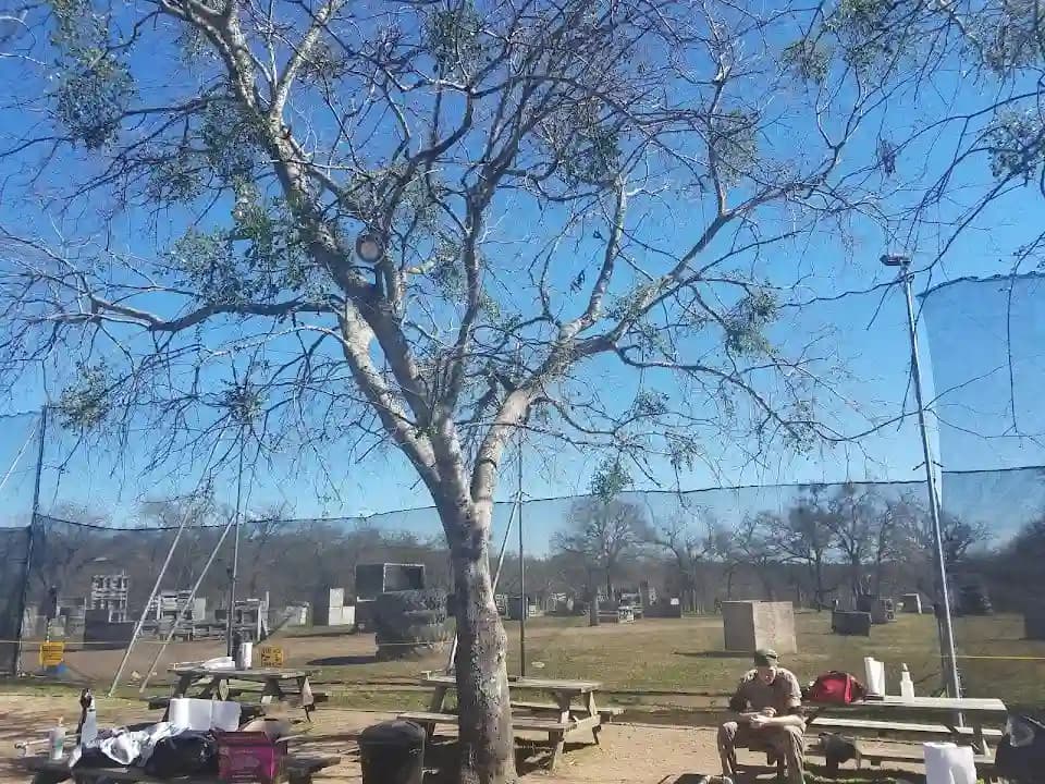 Xtreme Paintball image 5