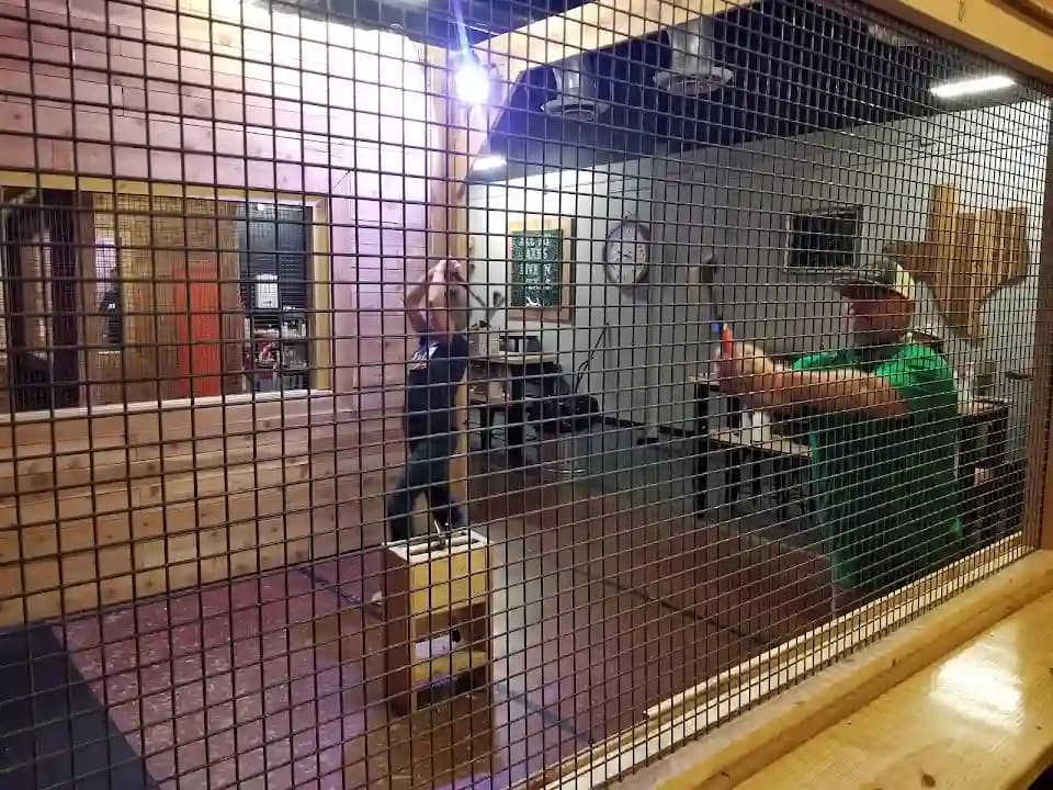 Class Axe Throwing image 4