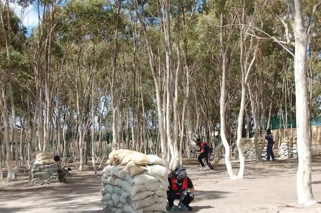 World Series Paintball image 6