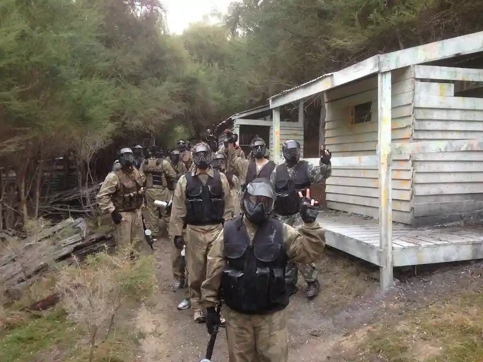 Paintball Cockatoo image 3