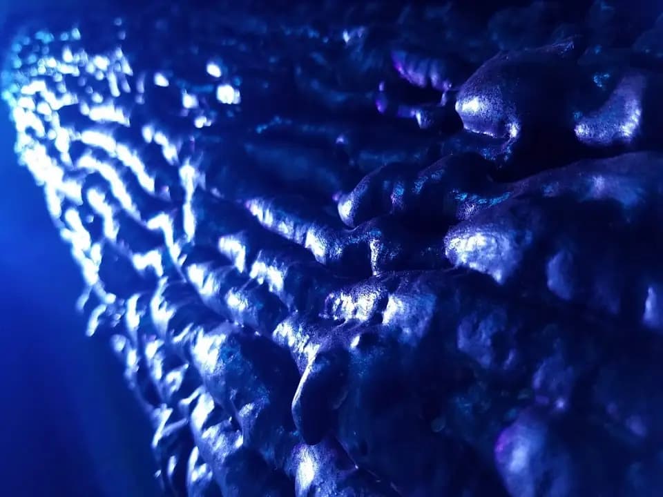 Cinema Escape Rooms - Main image 2