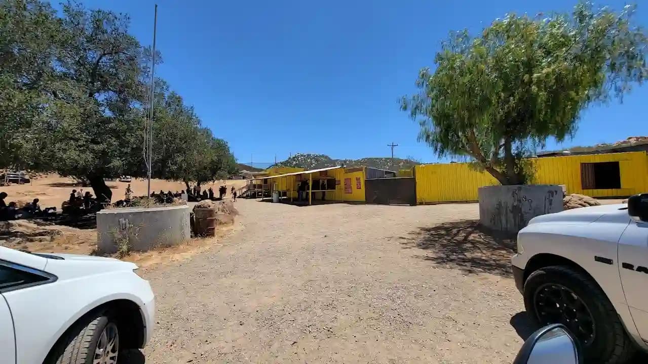 Giant Paintball image 4