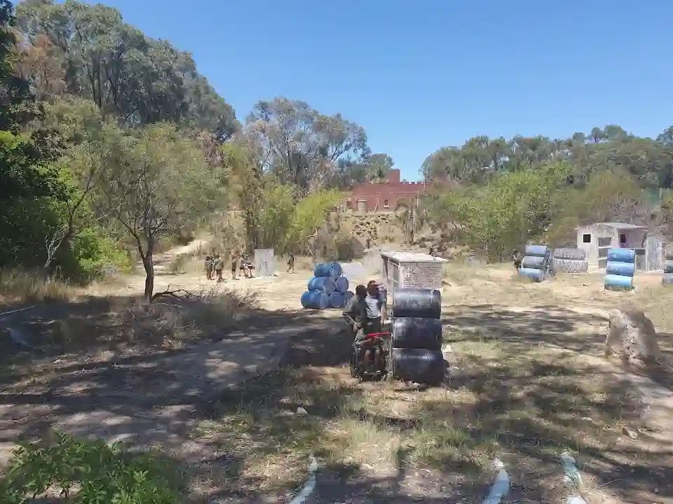 WASP Paintball image 2