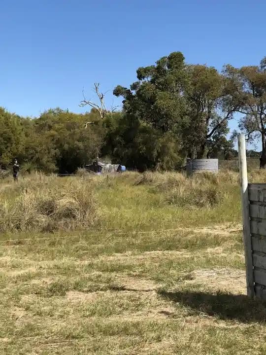 WASP Paintball Baldivis image 2