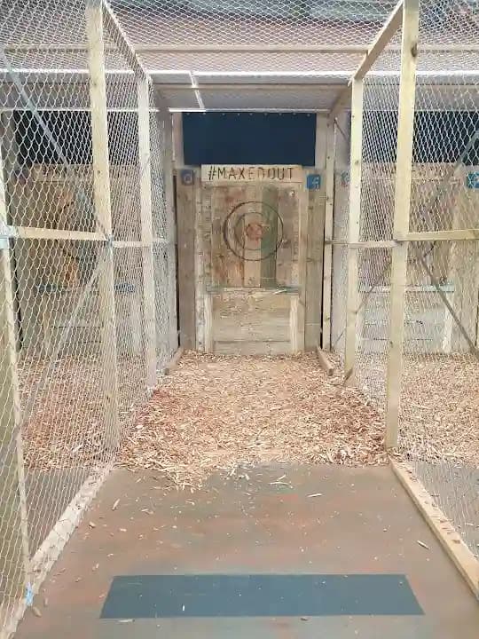 Maxed Out Axe Throwing image 7