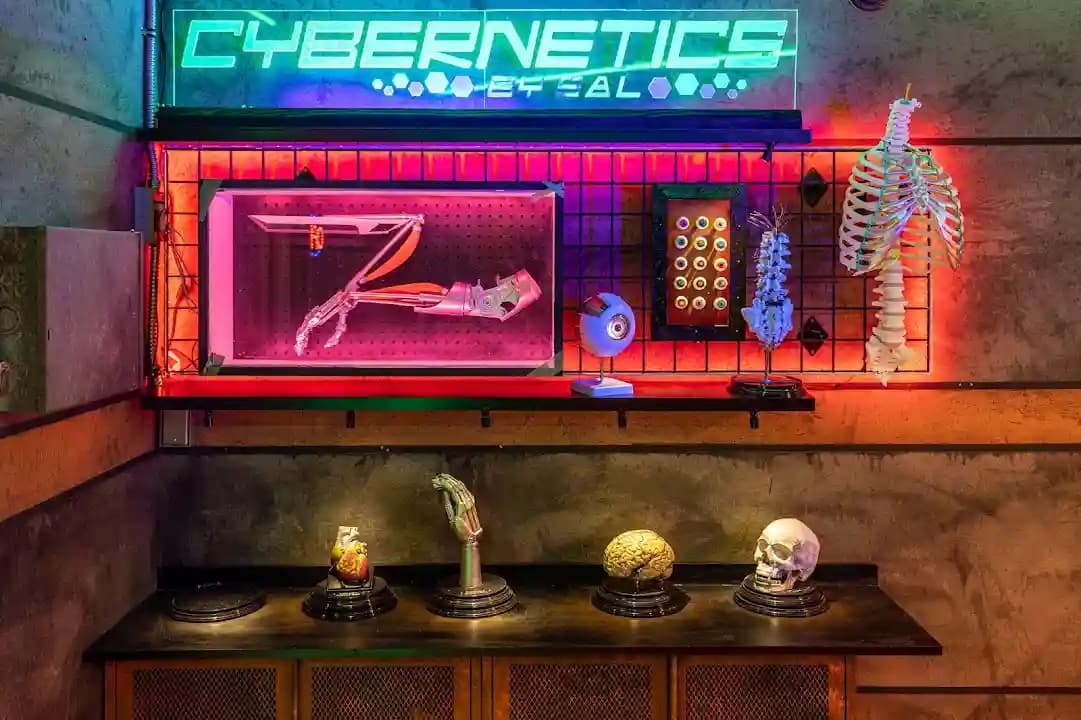 The Immersive Machine image 3