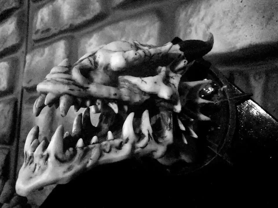 Eludesions Escape Rooms image 8
