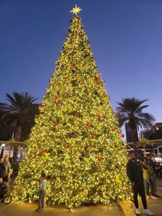 Westgate Entertainment District image 2