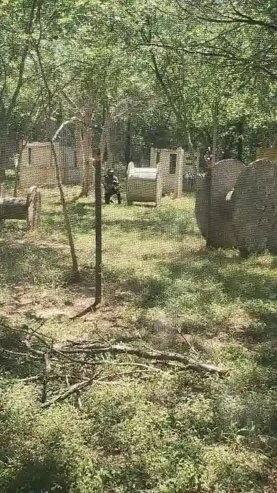 Photo of Charlie's Paintball