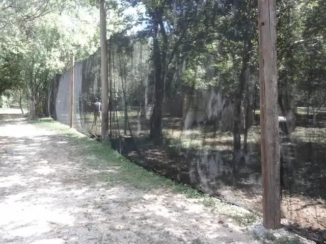 Charlie's Paintball image 9