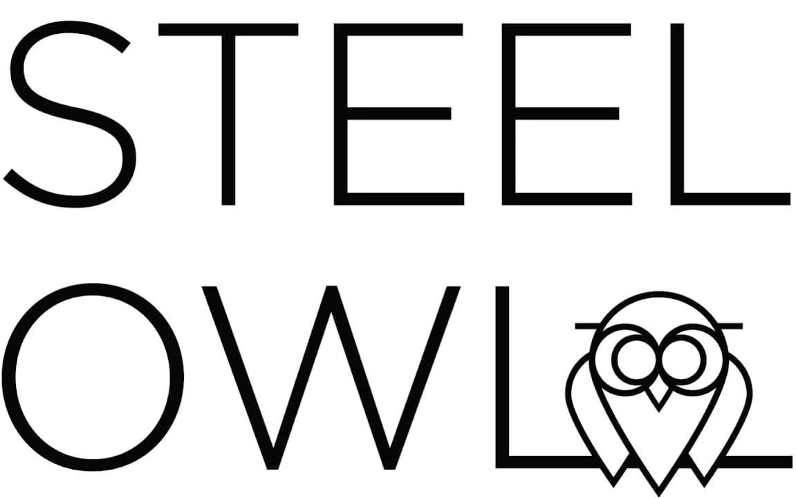 Steel Owl image 2