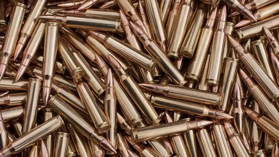 Photo of The Target Range shooting ranges activities in Los Angeles