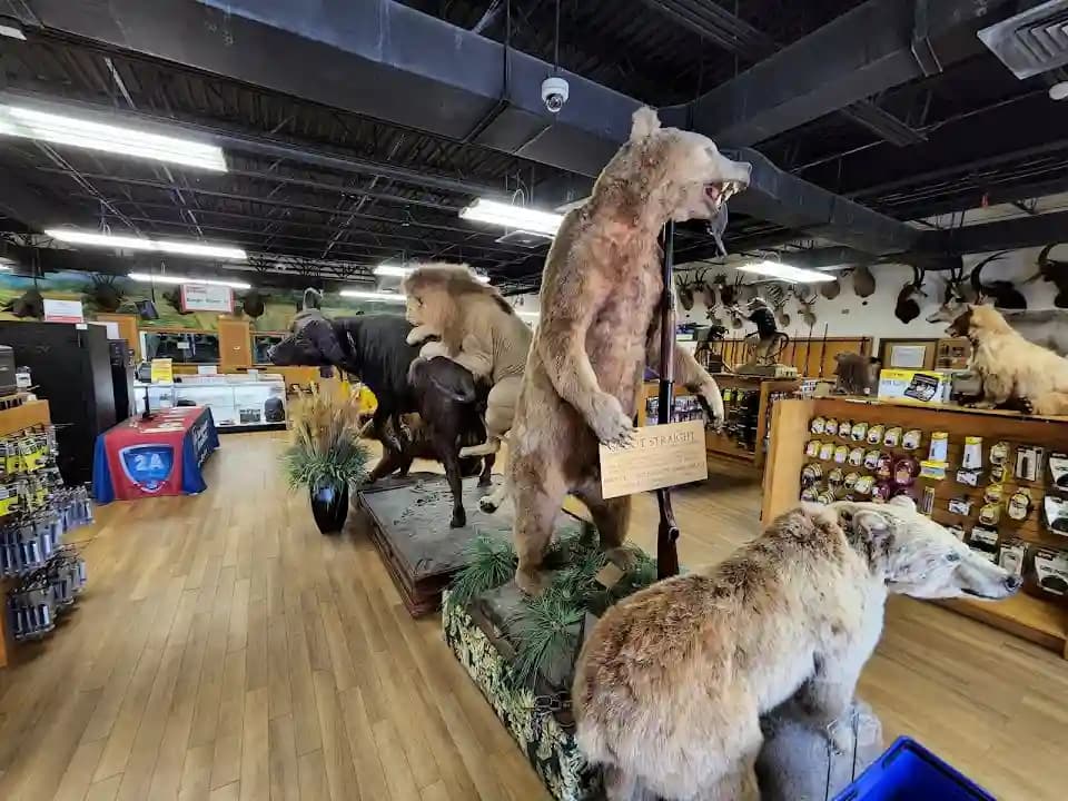 Shoot Straight Apopka - Popular shooting ranges destination in Orlando